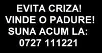 CALLBROTHERS 24754